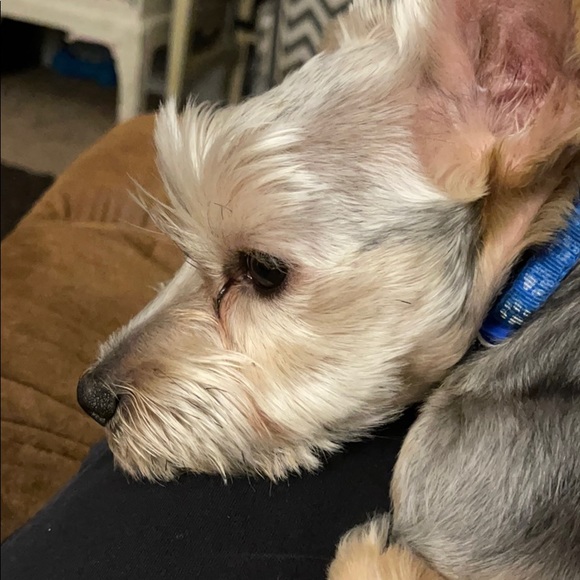 Meet your Posher, Michael - Picture 1 of 1